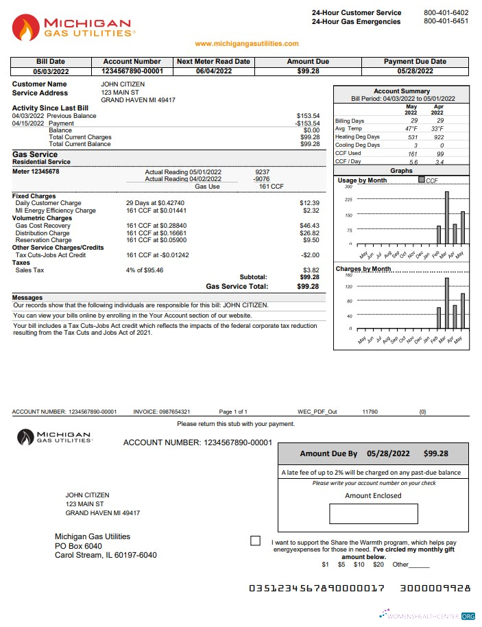 download USA Michigan gas Utilities utility bill template in Word and PDF format version 1 PDF template